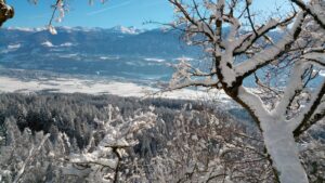 Ausblick aus dem verschneiten Wald auf das Tal